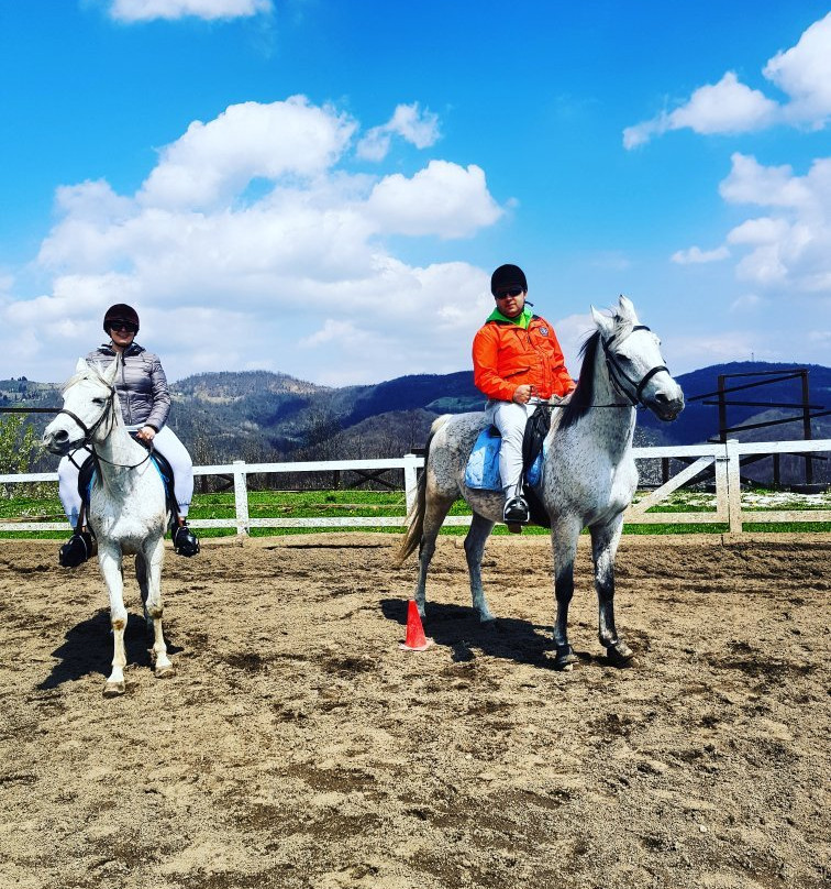Equestrian & Recreation Centre Pegasos景点图片