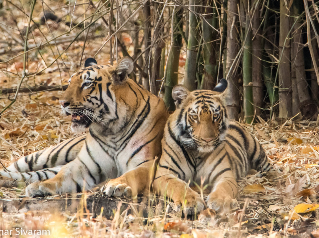 Rahul Hotel - Tipeshwar主图