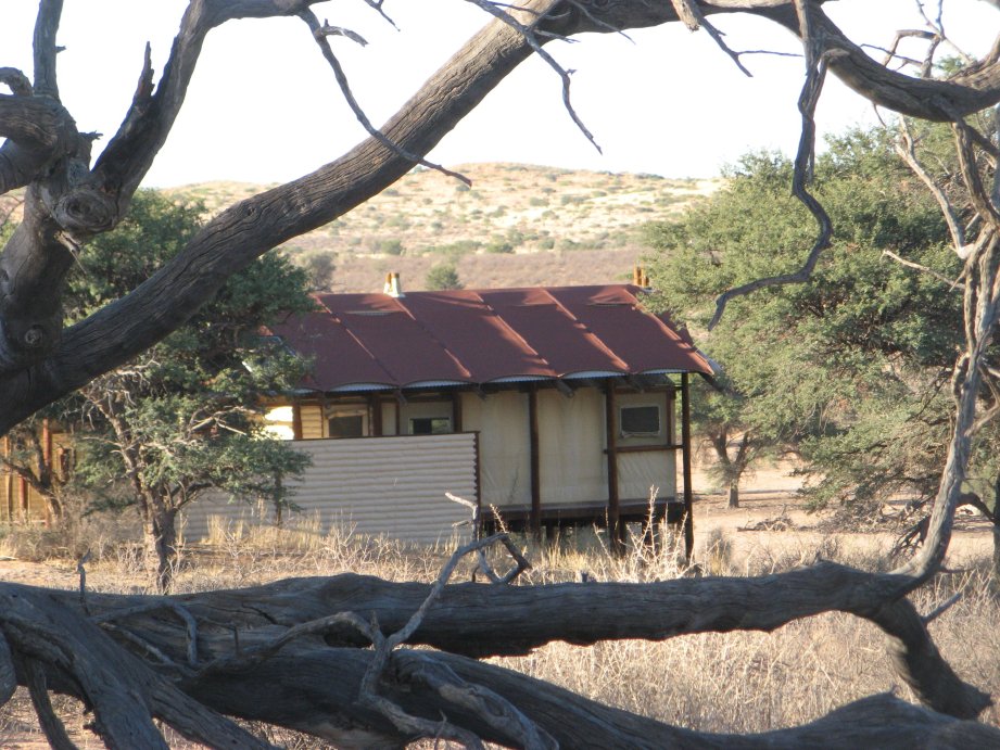 Kalahari Tented Camp-官方
