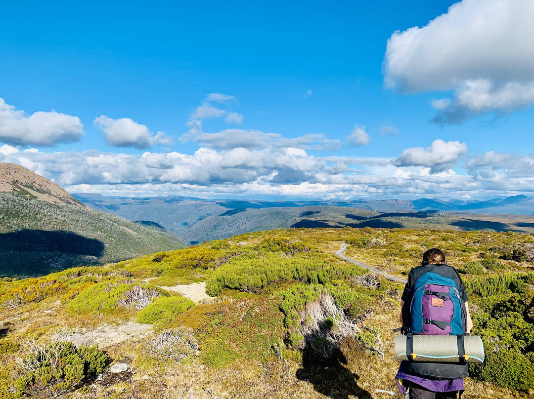 Overland Track Transport景点图片