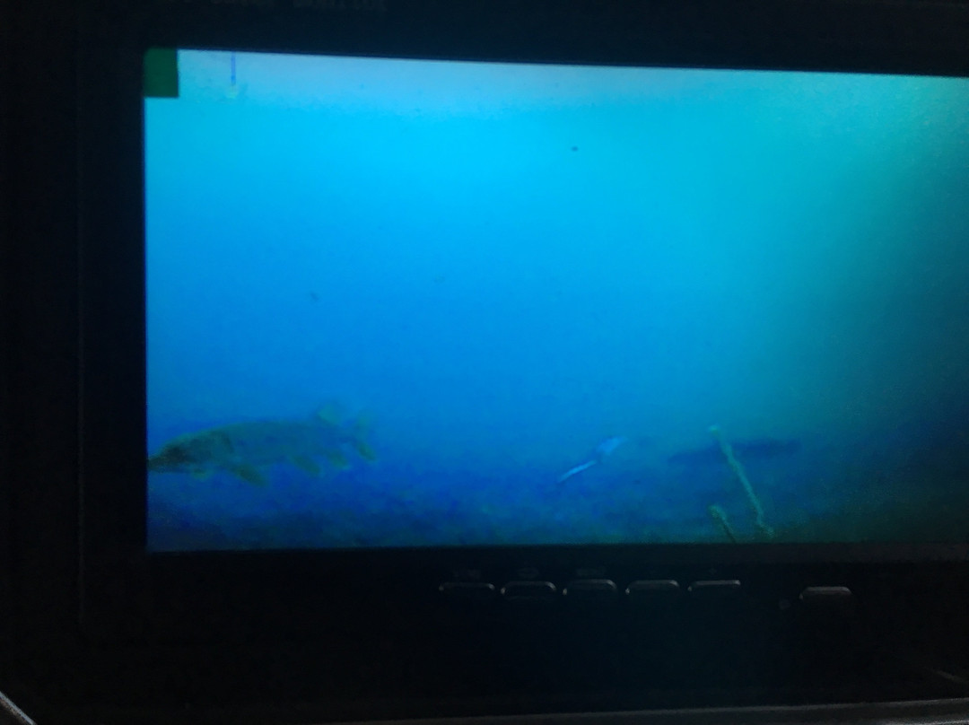 Cool Toyz-西尔万湖必去景点