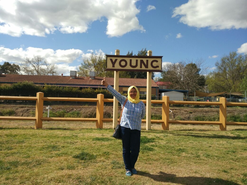 Young旅游景点-The Big Cherries