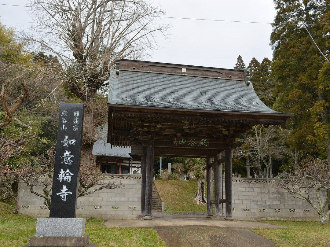 Mt. Tengokusan Nyoirinji Temple-茂原市必去景点