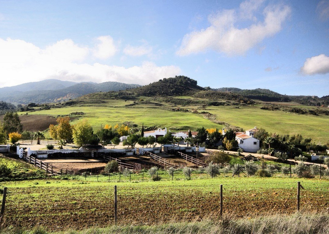 Cortijo Capellania