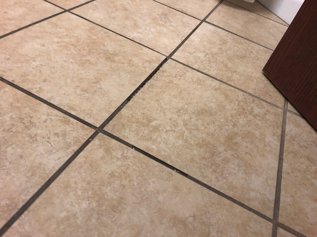 Holiday Inn Express & Suites Sherman Hwy 75 by IHG主图