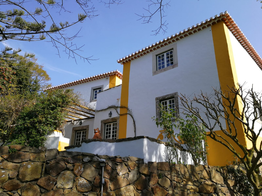 Quinta do Rio Touro主图