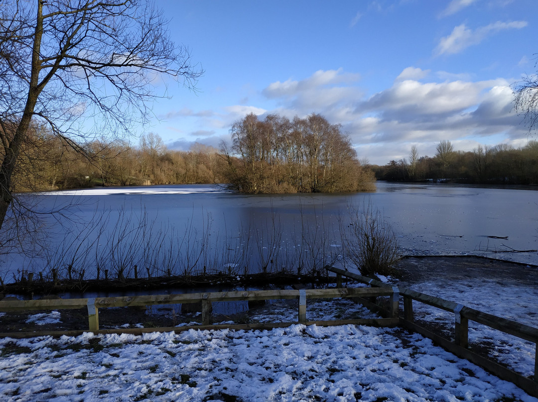 Chorlton Park-曼彻斯特必去景点