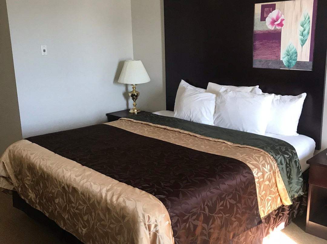 Super 8 By Wyndham Innisfail主图