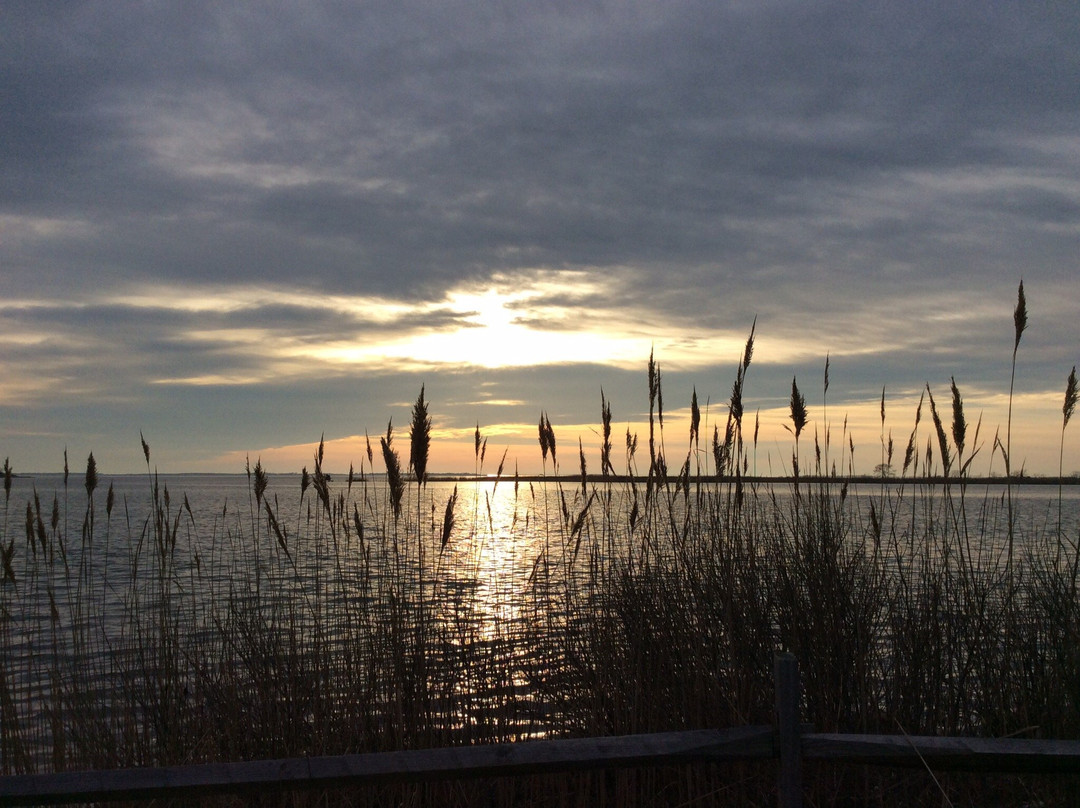 Eastern Neck National Wildlife Refuge-Rock Hall必去景点