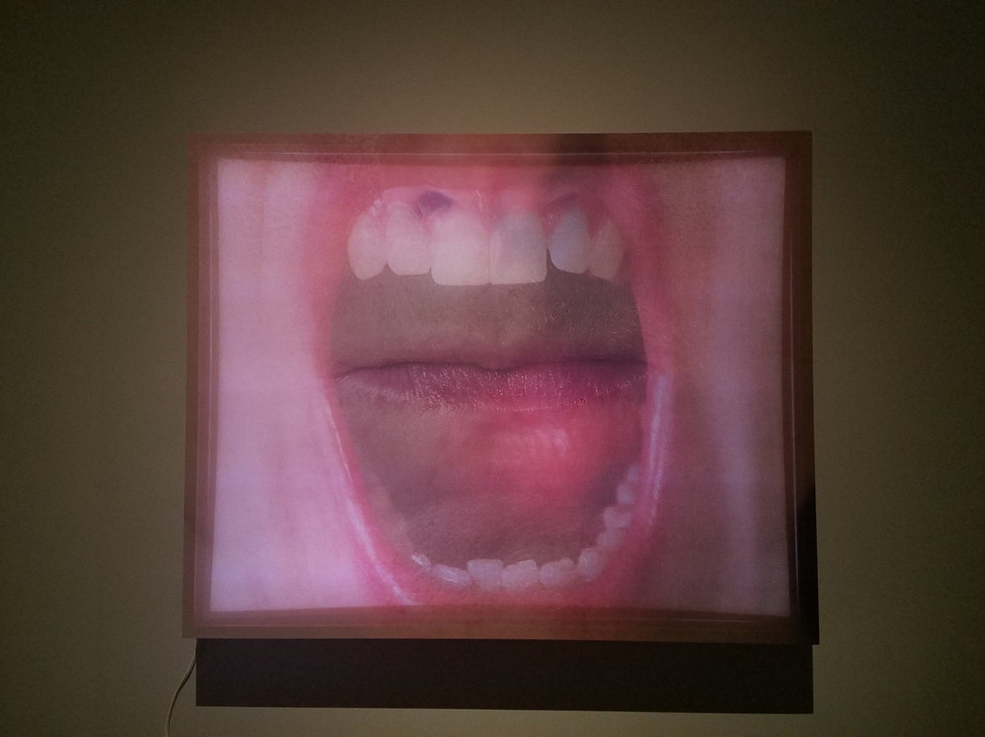 Bradbury Art Museum景点图片