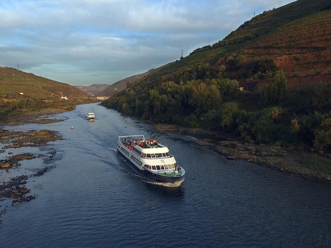 Douro Criativo景点图片