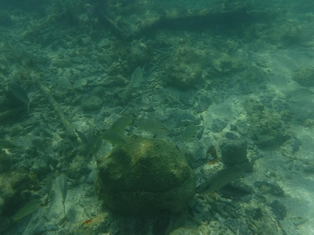 Garden Key-海龟国家公园必去景点