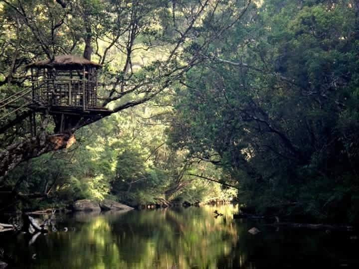 Eco Cabs & Tours-Kandy District必去景点