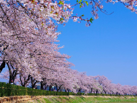 SA TOUR-首尔必去景点