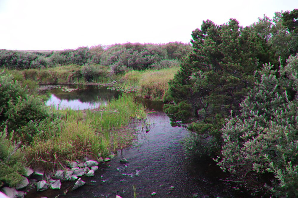 Floras Lake Beach-Langlois必去景点