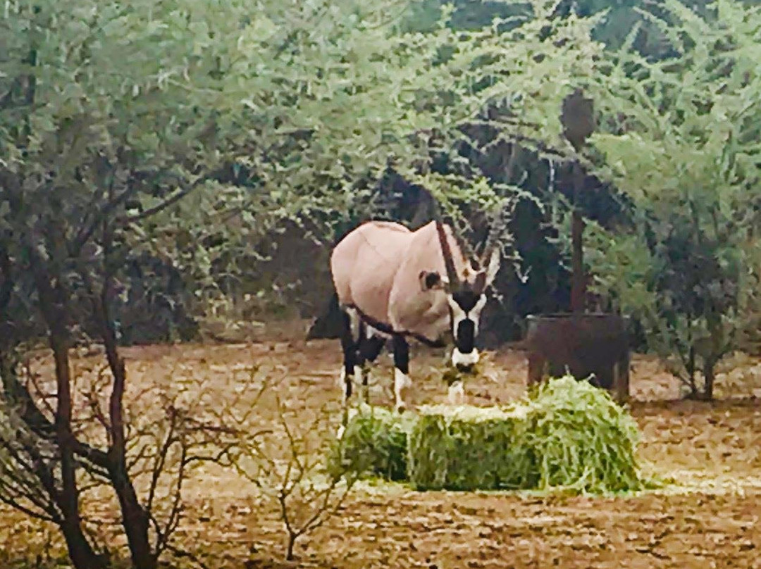 Heritage Adventures-嘉伯隆里必去景点