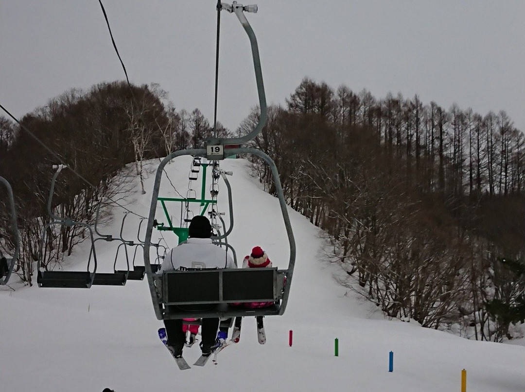 Minakami Kogen Ski Resort景点图片