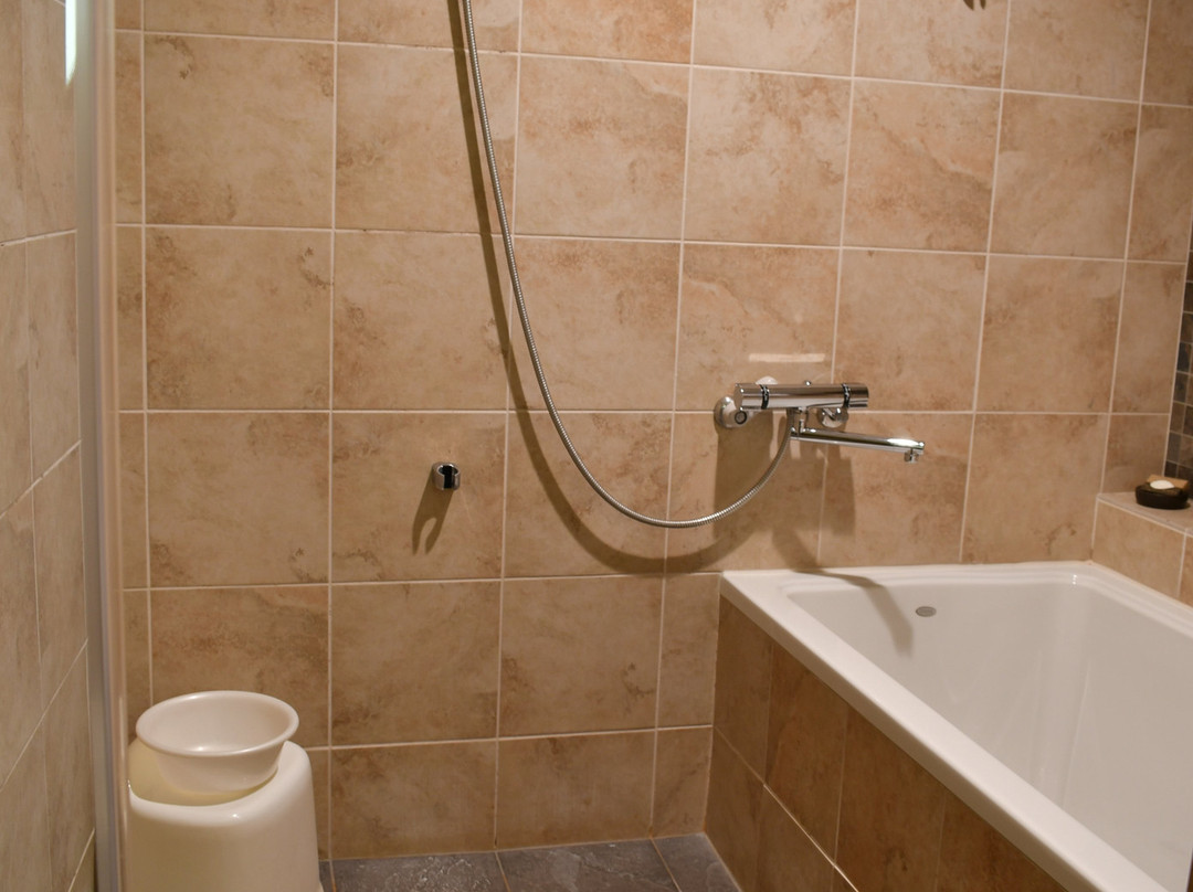 Miyako Hybrid Hotel主图