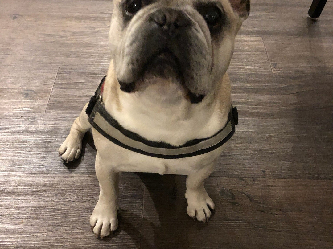 IDINGSHOF Hotel & Restaurant主图