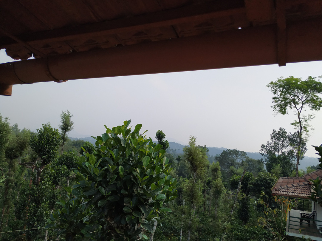 The Suvistara Wayanad主图