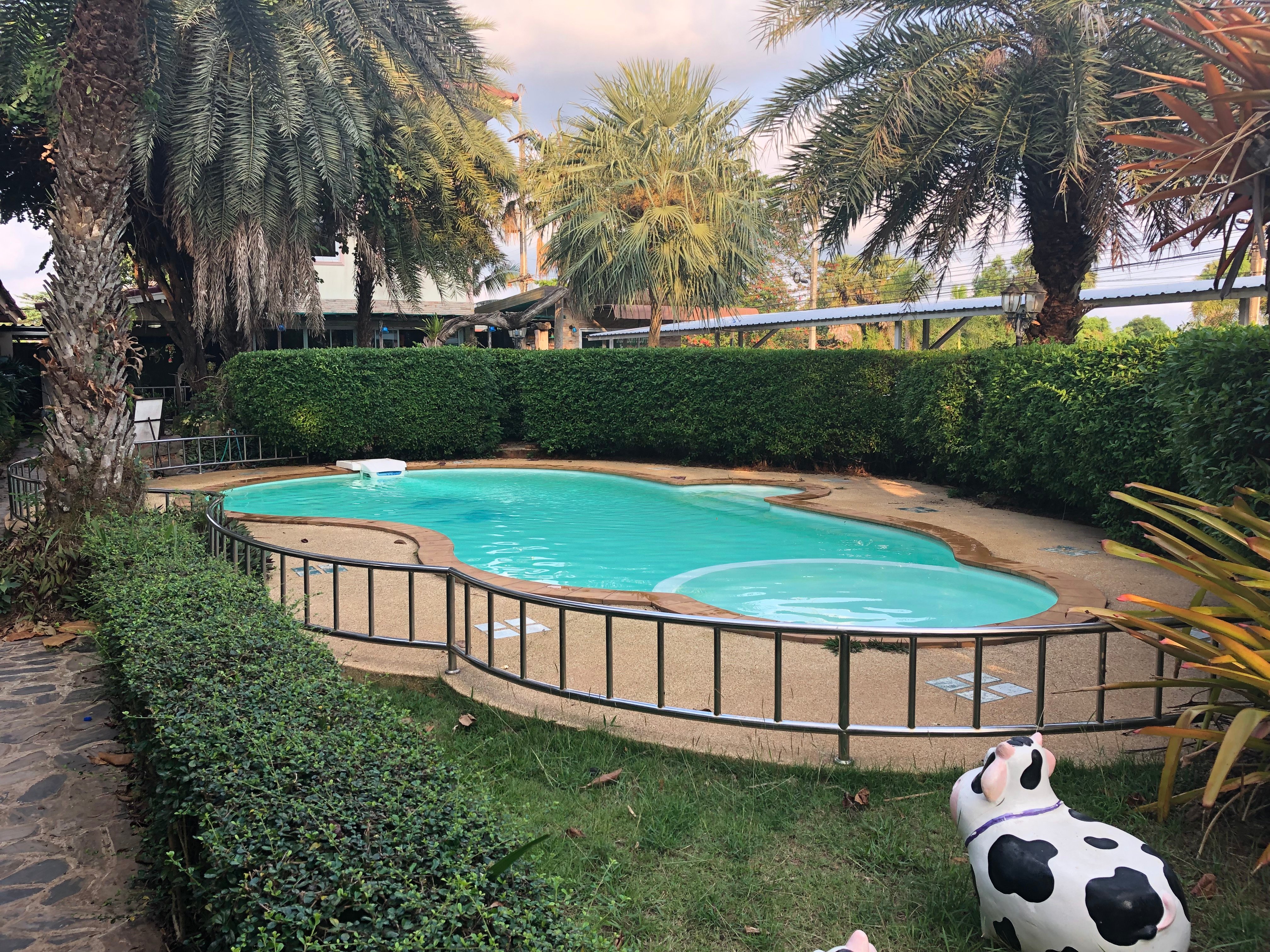 The Iris Resort-泳池