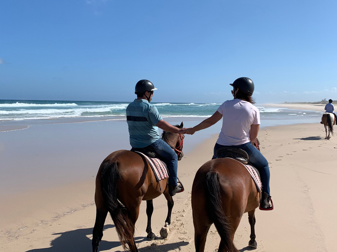 Tassiriki Ranch Beach Horse Riding & Holiday Cabins景点图片