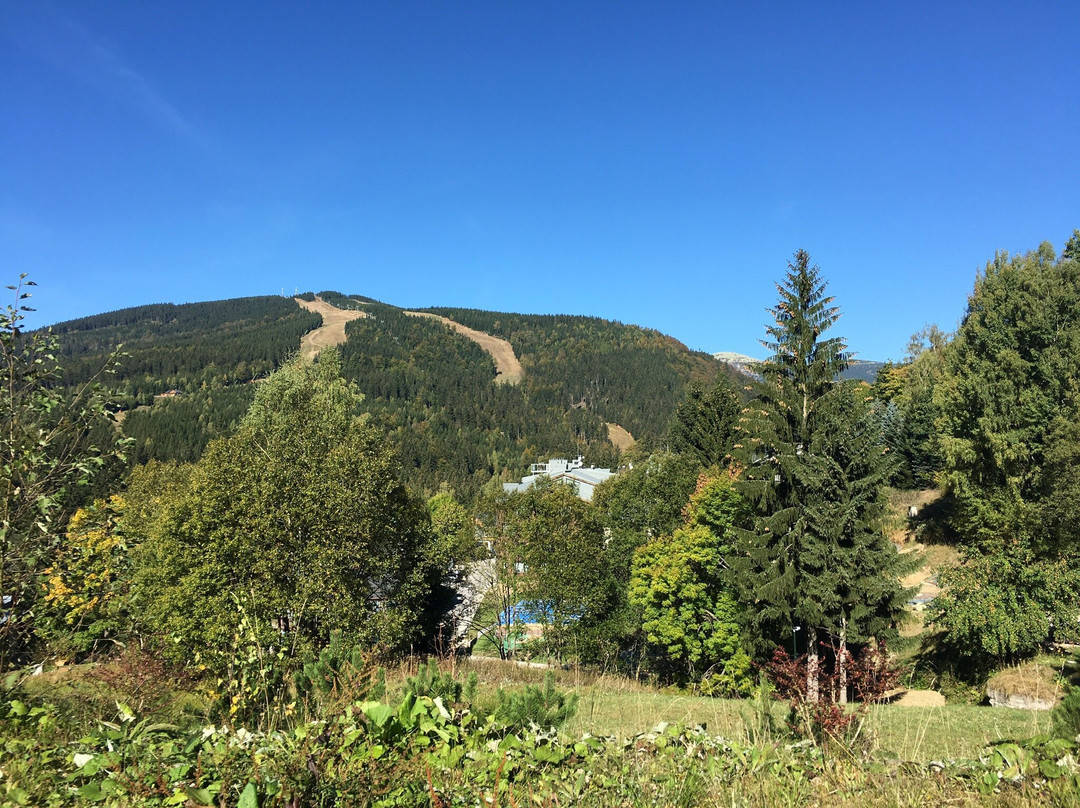 Bobsleigh & MonkeyPark Spindleruv Mlyn a Harrachov.-哈拉霍夫必去景点