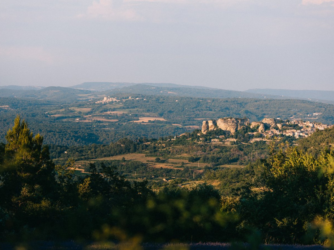 Luberon Bike Shop景点图片