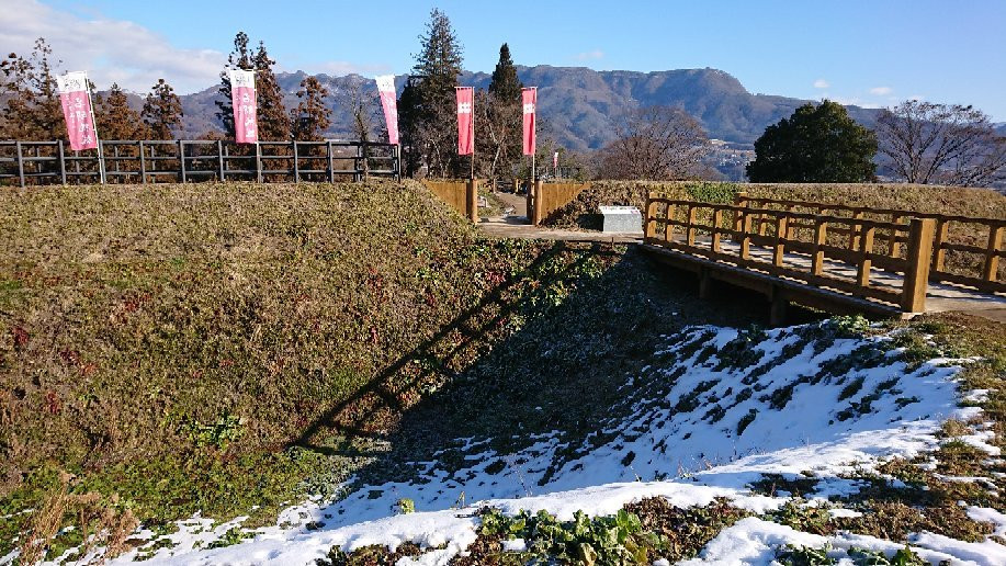 Nagurumi Castle Ruins景点图片