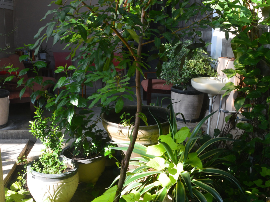 Tropicana Guest House主图