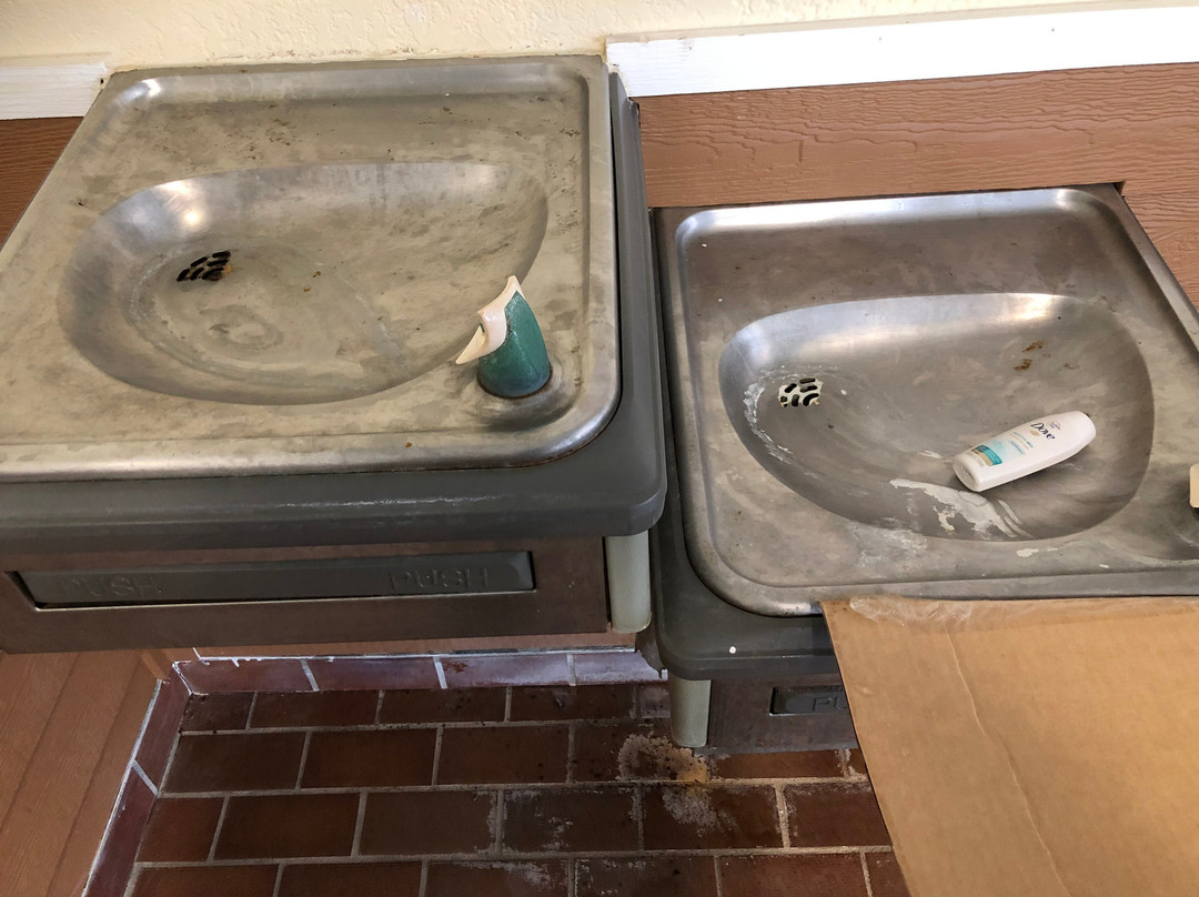 American Inn & Suites主图