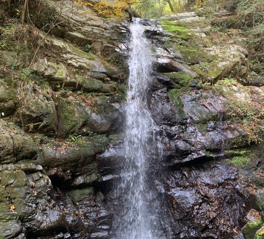 Daiitokuji Temple-岸和田市必去景点