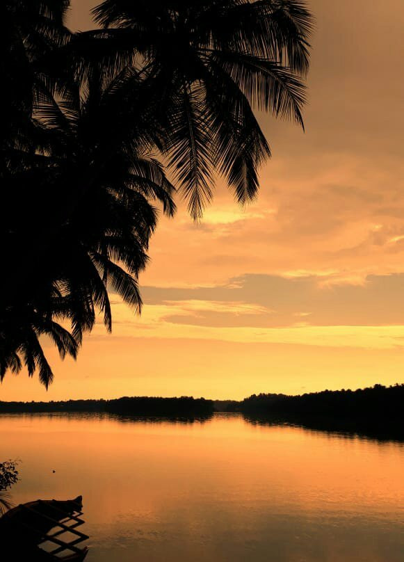 Nilambur Manor主图