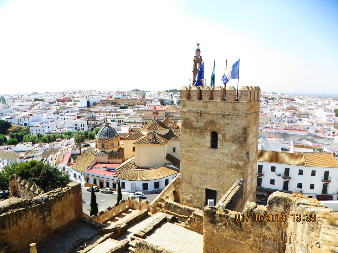Alcazar de la Puerta de Sevilla景点图片
