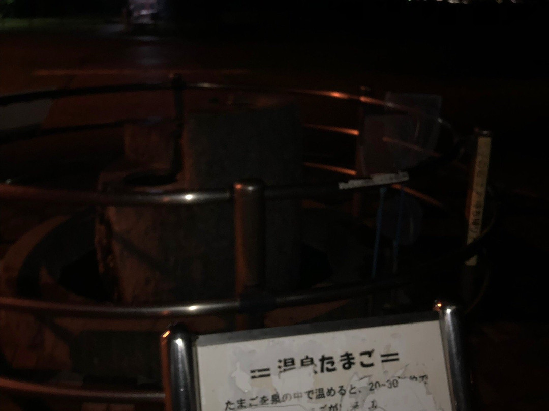Megumi Hot Spring Park景点图片