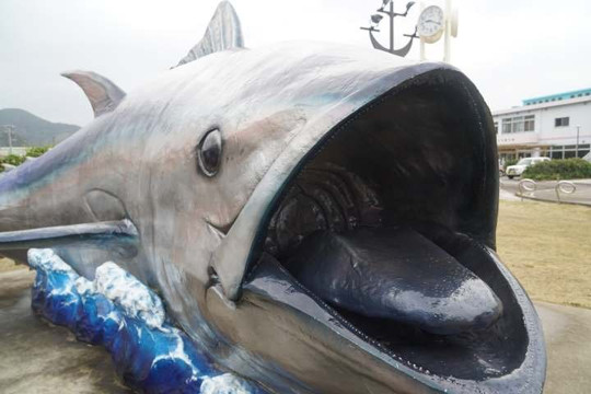Tuna Monument-濑户内町必去景点