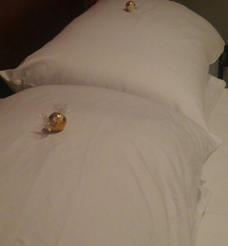 A Tailor's Lodging主图