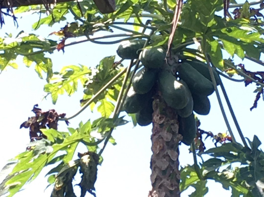 Hosteria Mandala主图