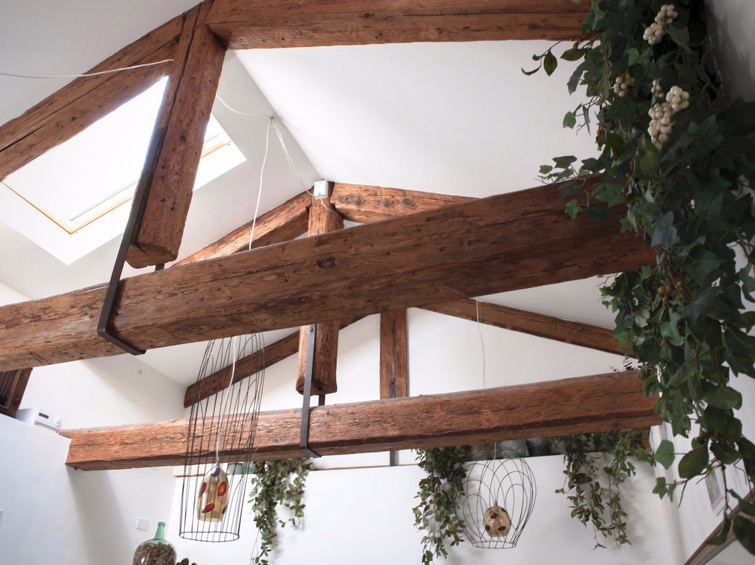 Al Pozzo di Luce Venezia主图