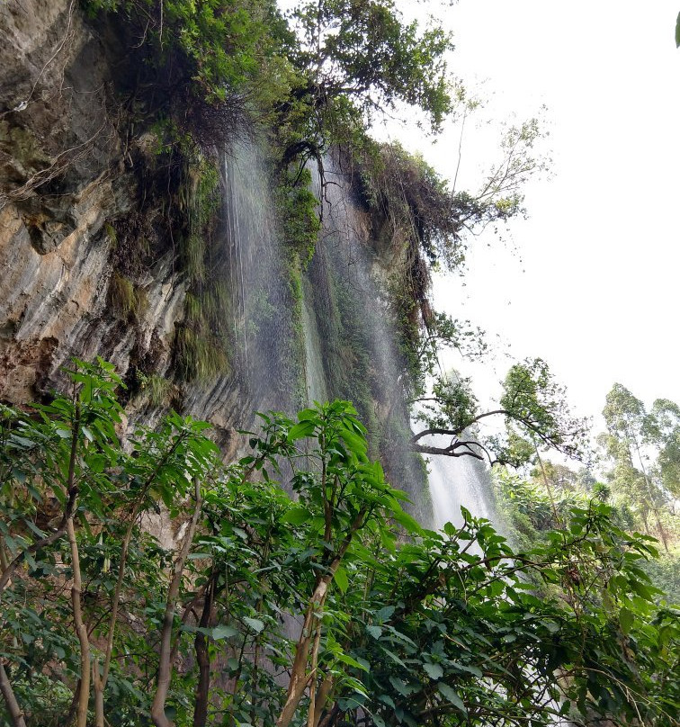 Explore Sipi Falls景点图片