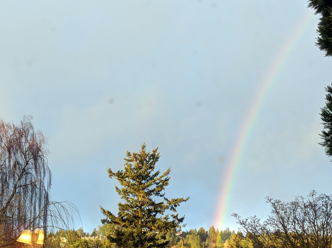 塔克故居旅馆主图