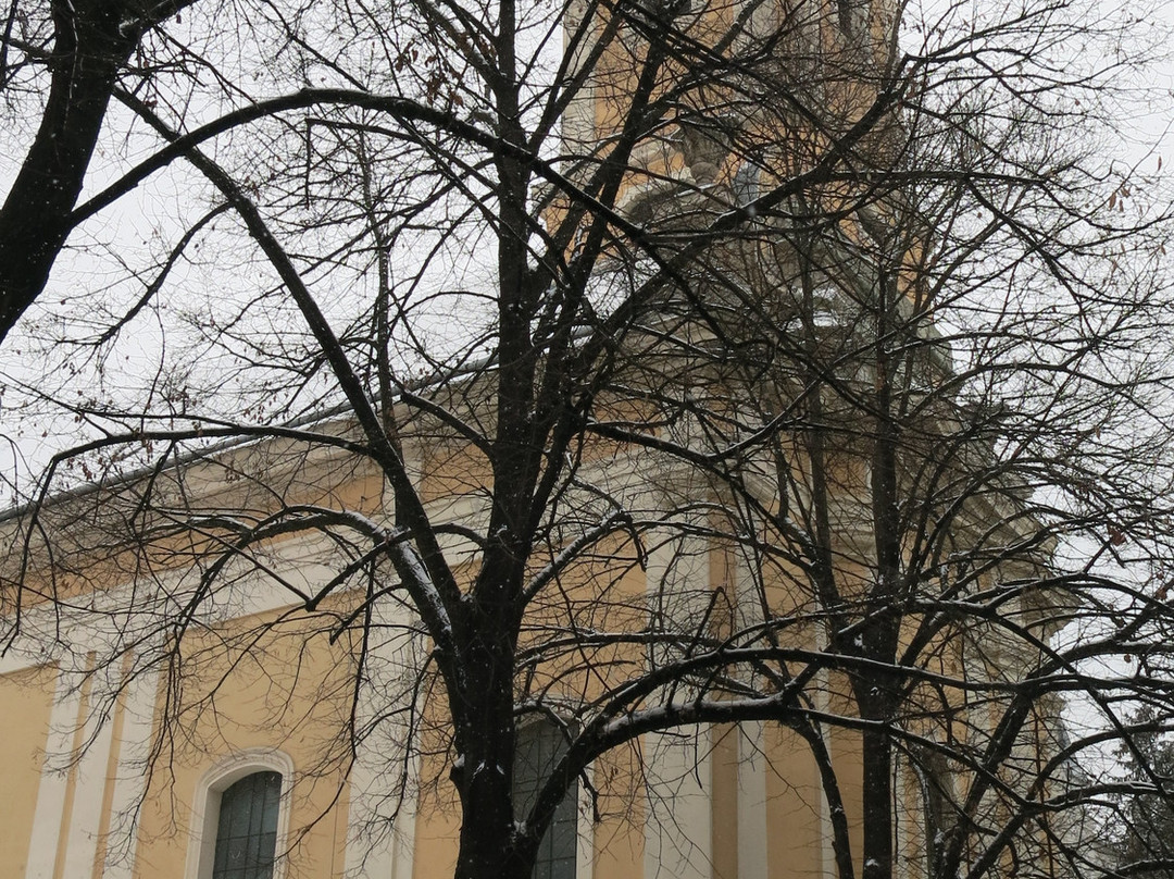 Saint Nicholas Serbian Orthodox Church of Szeged景点图片