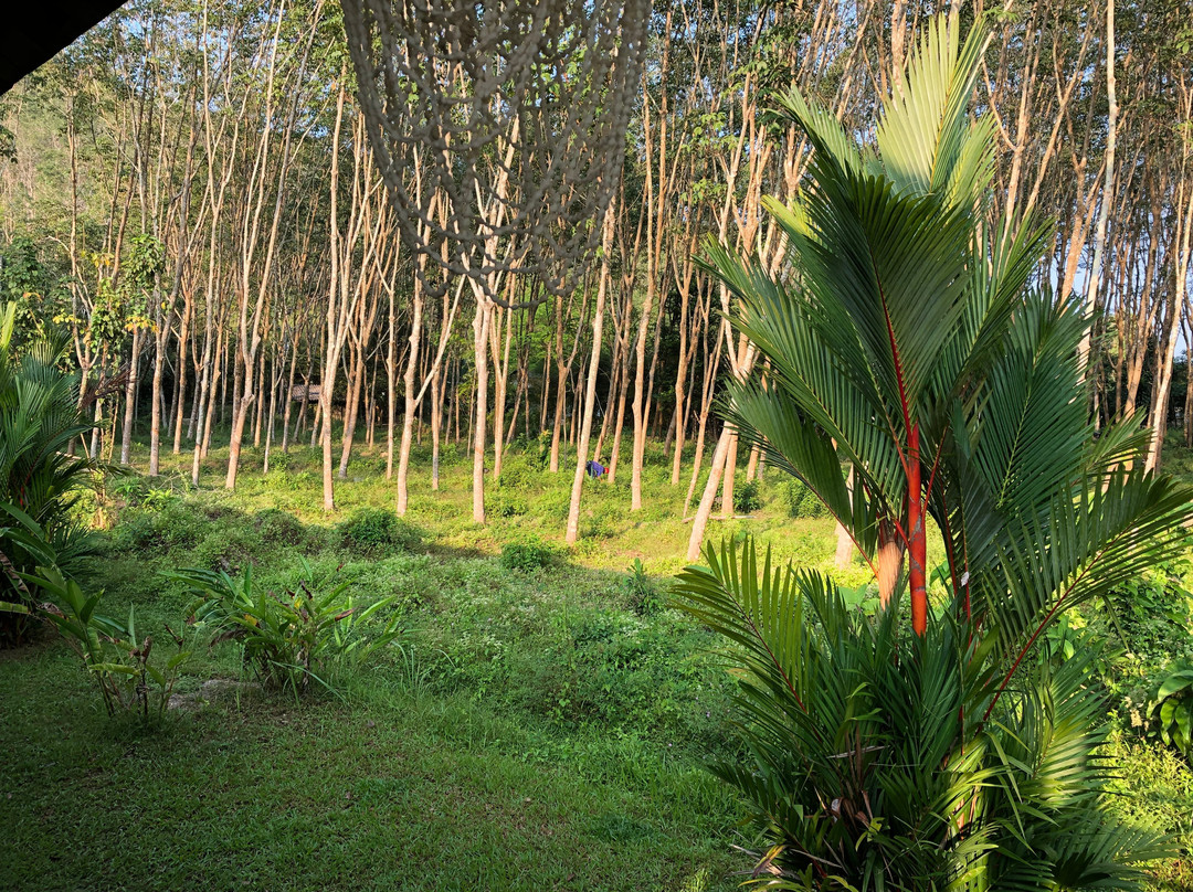 阁遥湾庭院酒店主图