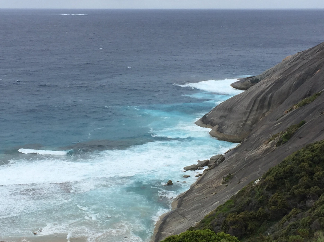 Bald Head Walk Trail-奥尔巴尼必去景点