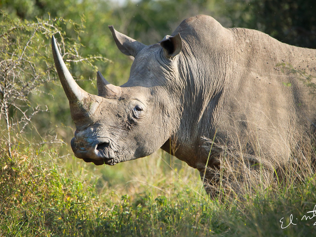 SDM adventures-Riviera必去景点