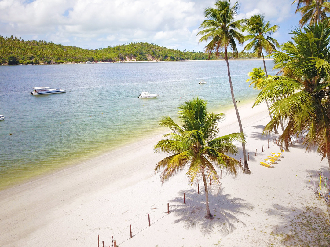 Praia dos Carneiros旅游攻略图片