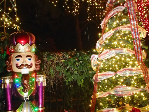 Dallas by Chocolate Tours-达拉斯必去景点