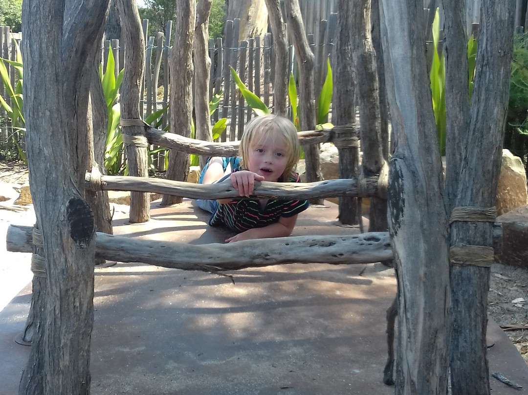 Patterson Park-Metung必去景点