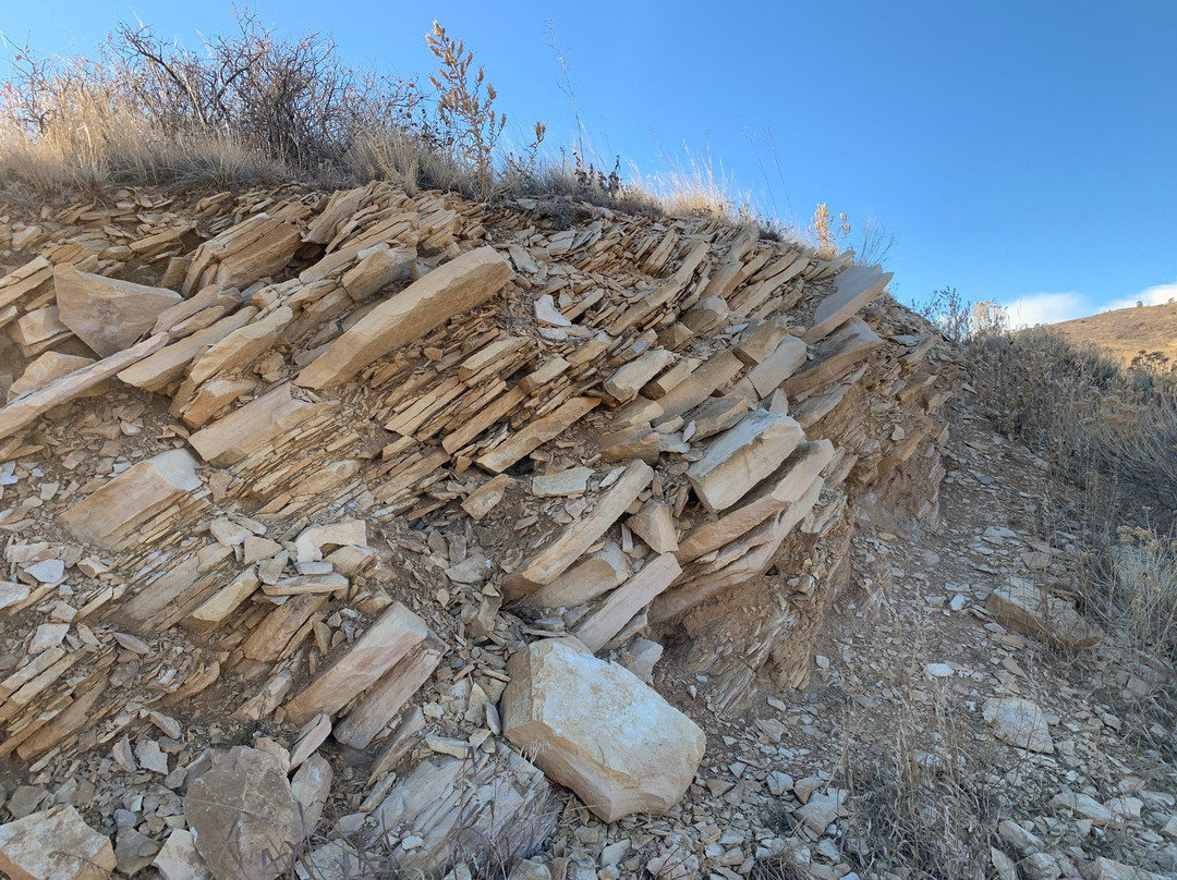 Coyote Ridge Natural Area-科林斯堡必去景点