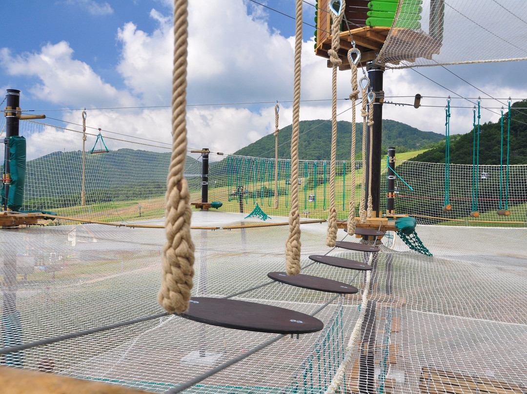 Hakuba Tsugaike Wow!景点图片